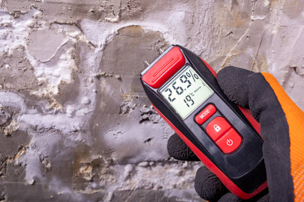 Best Localized Mold Remediation (e.g., coastal areas, humid climates) in St Cloud, MN