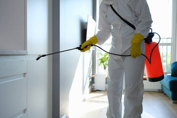 Best Mold Testing and Inspection Services in St Cloud, MN